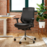 Ergonomic Chair - Black / Black / Standard