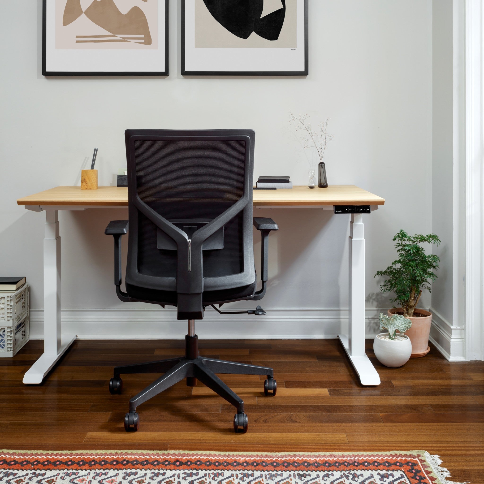 Seat Color:Black; Frame Color:Black; Size:Standard;