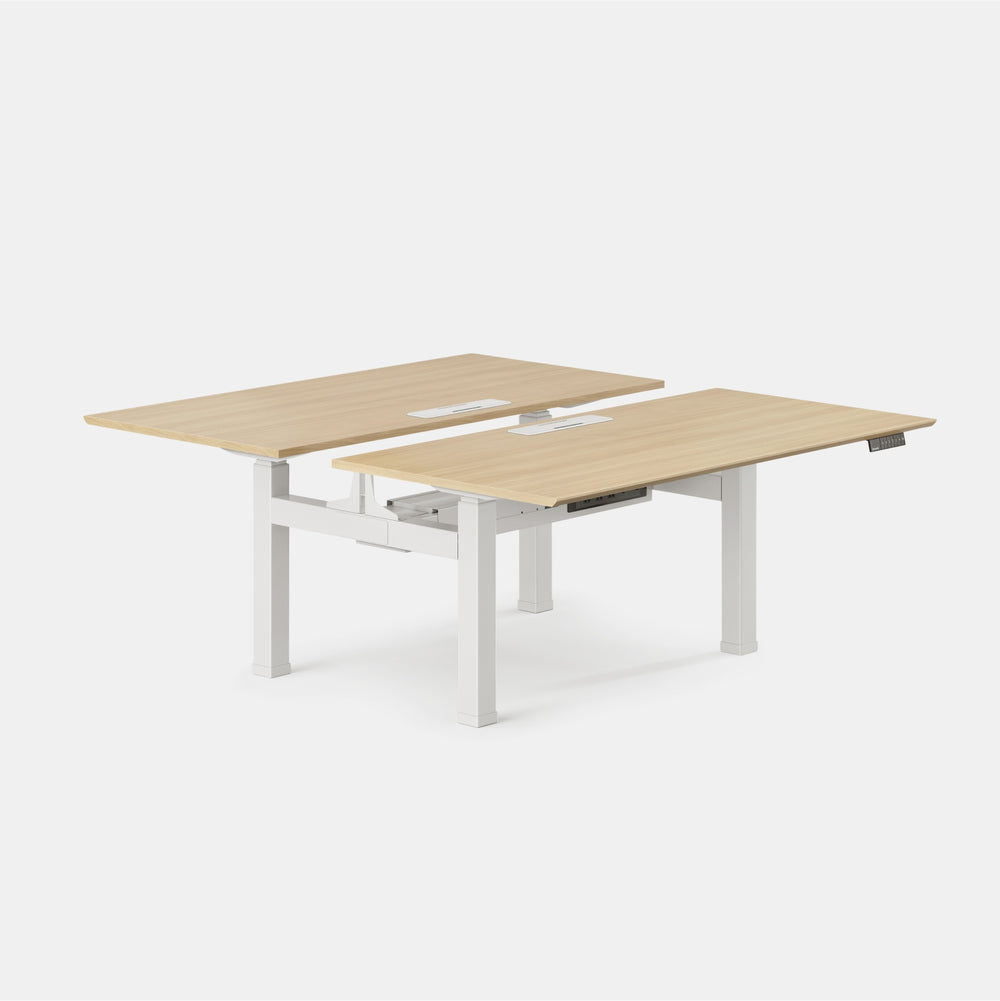 Adjustable Standing Desk | Branch Fog / Charcoal / 48 Inches x 30 Inches