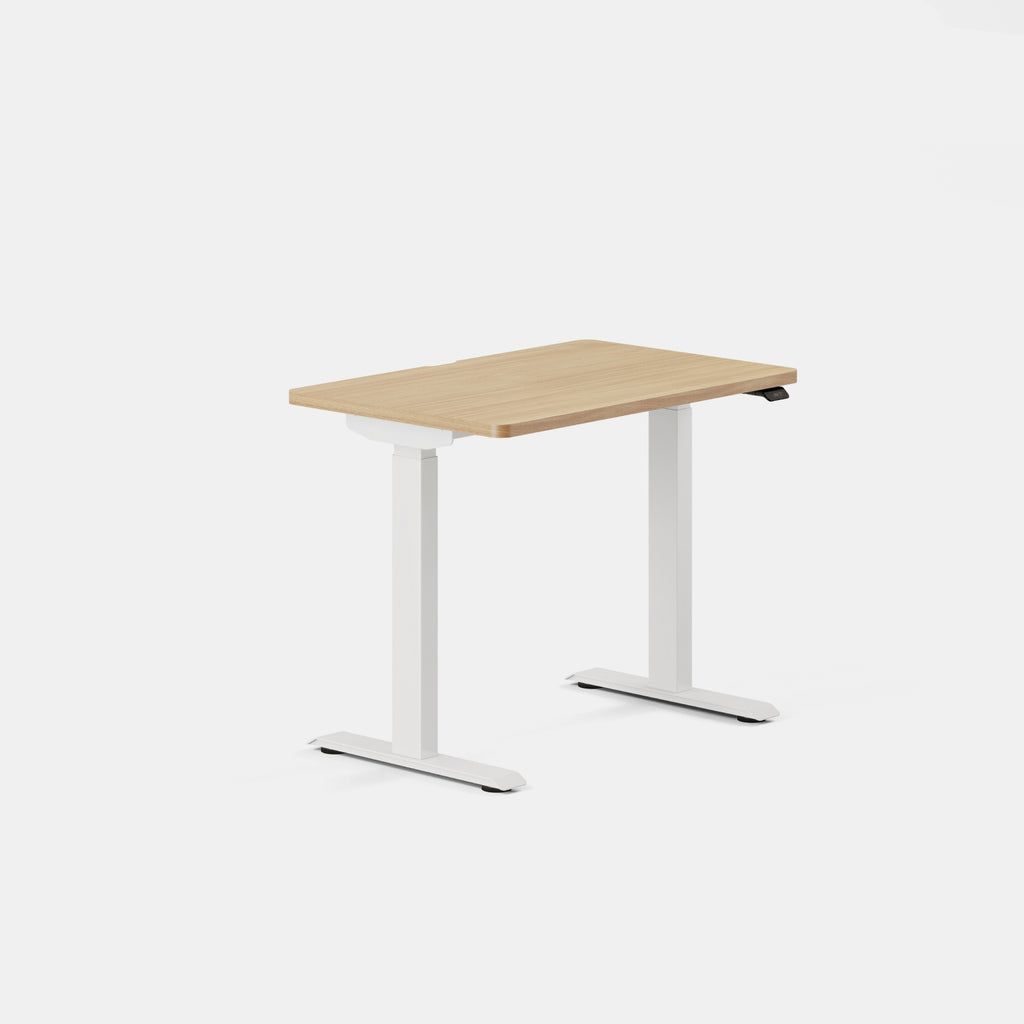 Duo Standing Desk by Branch