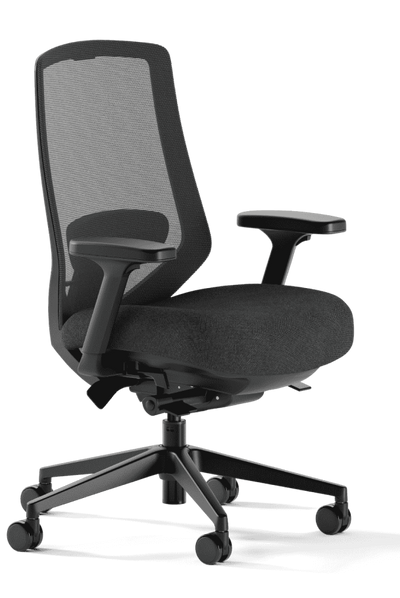 Ergonomic Chair Pro