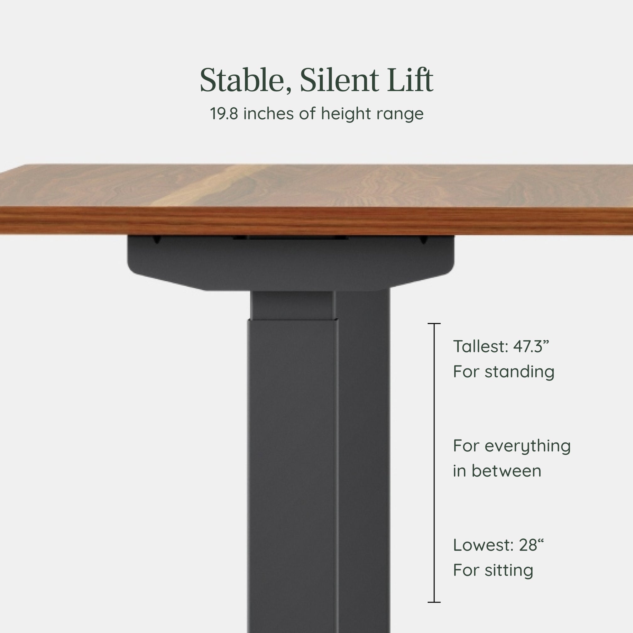 hide_from_legacy_gallery: true;