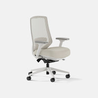 Ergonomic Chair Pro