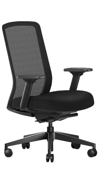 Ergonomic Chair Lite