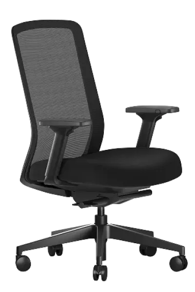 Ergonomic Chair Lite
