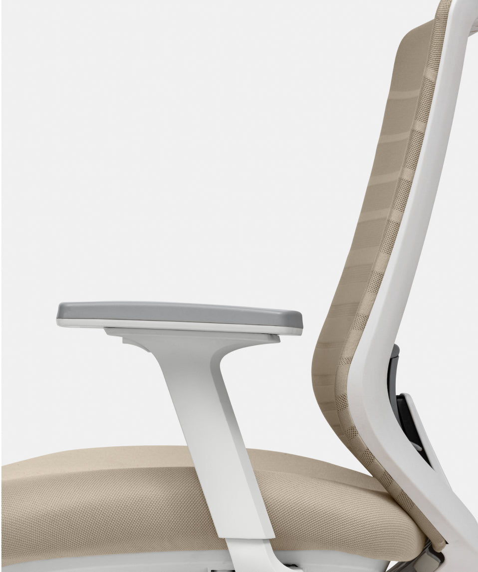 Ergonomic Chair - Adaptable arms