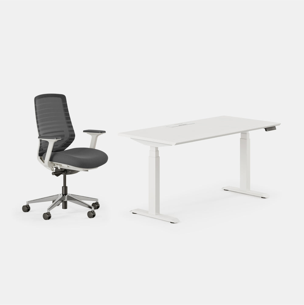 Chair Color:Graphite/White; Desk Color:White/Powder White;