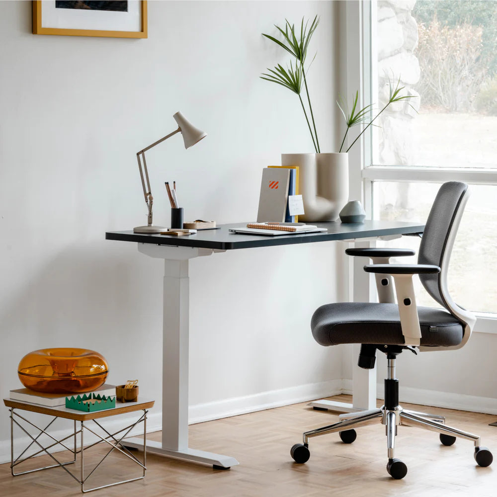 Daily Chair Home Computer Chair Branch