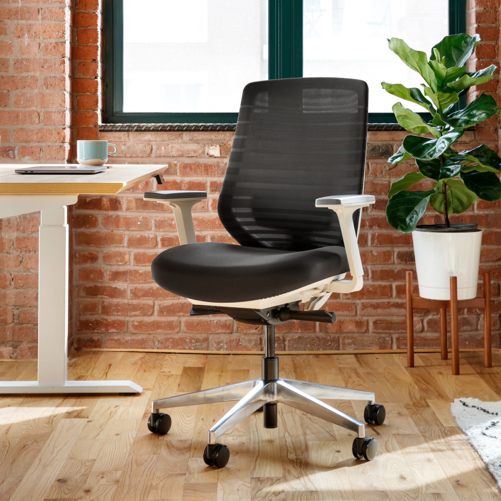 Chairs for Posture: Why We Need a Good Chair