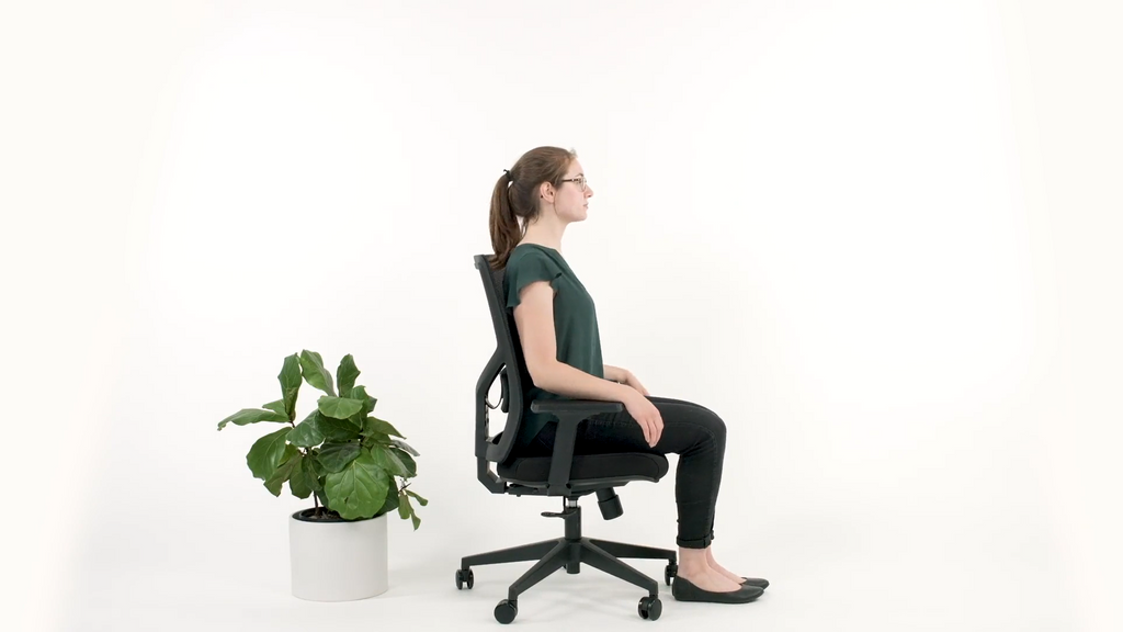 Seat Color:Black; Frame Color:Black; Size:Standard;